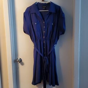 Periwinkle  dress.